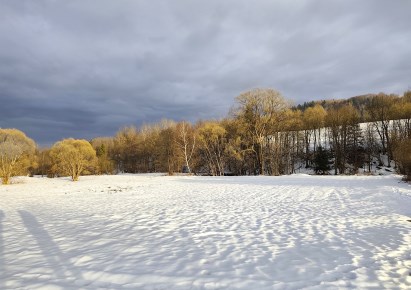 działka na sprzedaż - Milówka, Kamesznica