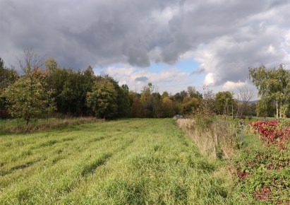 działka na sprzedaż - Lipowa